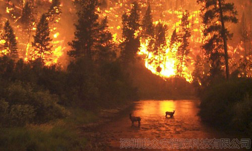 森林起火